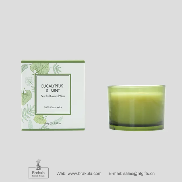 80g candle - Eucalyptus & Mint reed diffuser scented diffuser