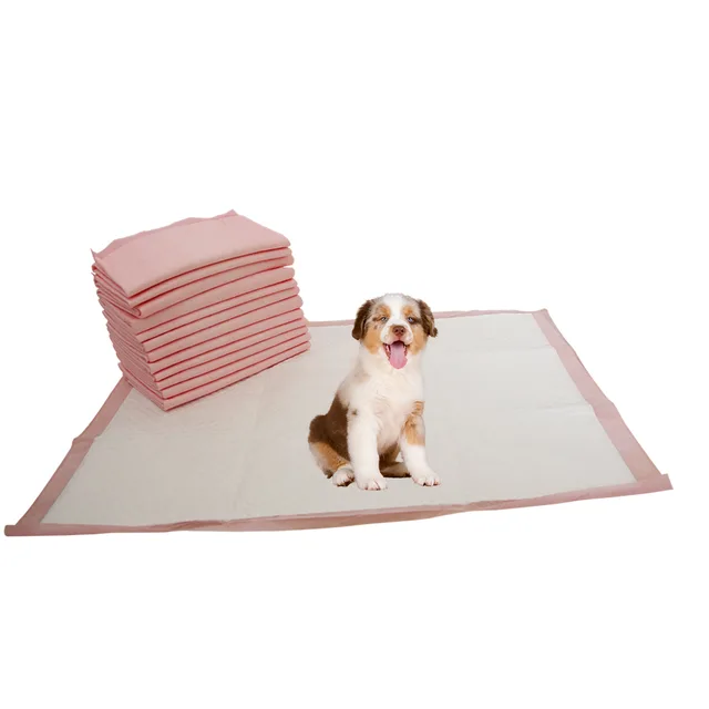 Good absorption Puppy pad