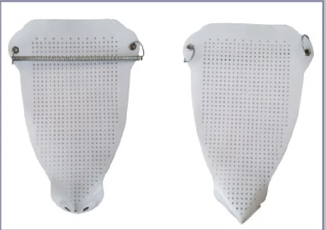 Iron Shoes