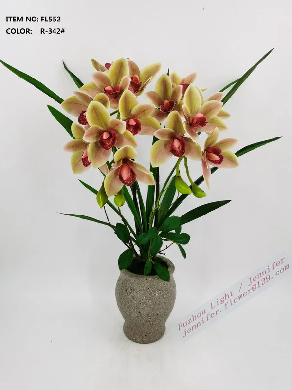 Orchid in cement pot