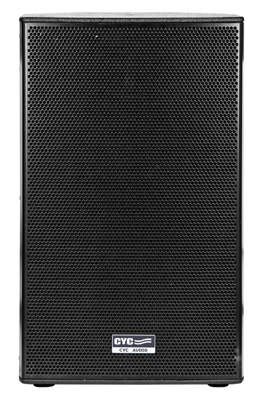 12inch professional wooden speaker with 350W RMS power