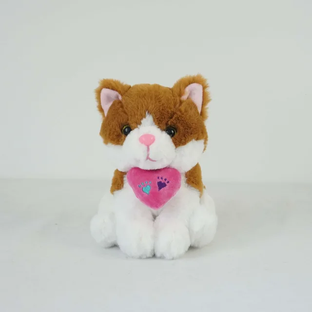 Squating Cat