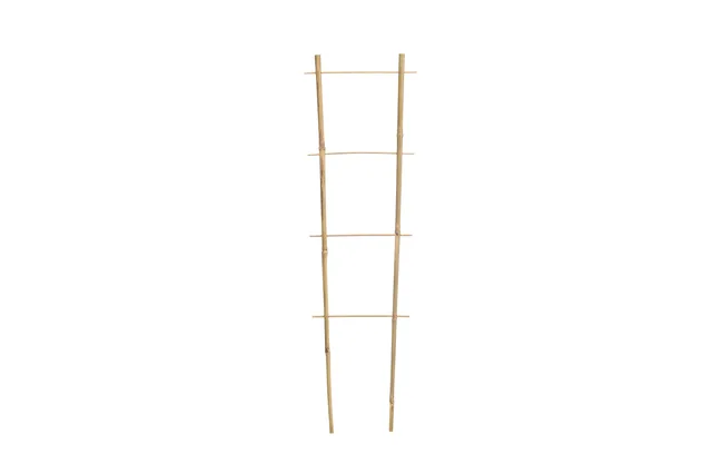 Bamboo Ladder