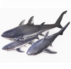 Great White Shark