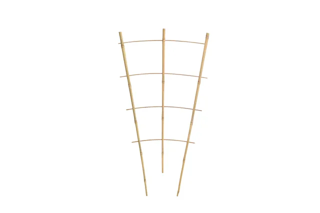 Bamboo Ladder