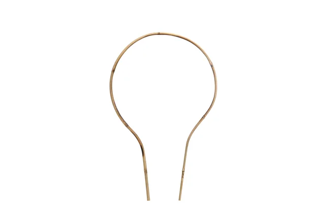Bamboo Ladder Bulb-shape