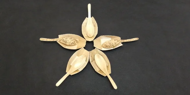 Bamboo spoon