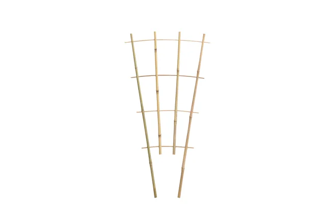 Bamboo Ladder