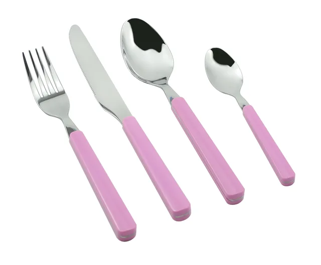 Stainless Steel Cutlery Set with Plastic Handle