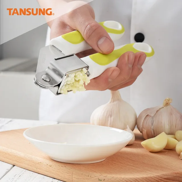 Rust Proof Manual Plastic Soft Grip Handle Stainless Steel Garlic Press