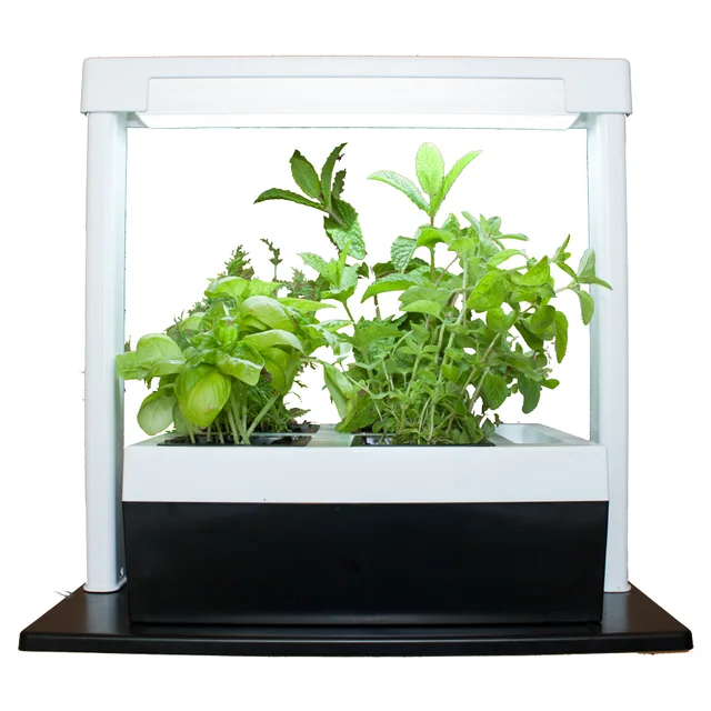 Herb Lamp with Twin Pot