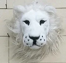 Lion head