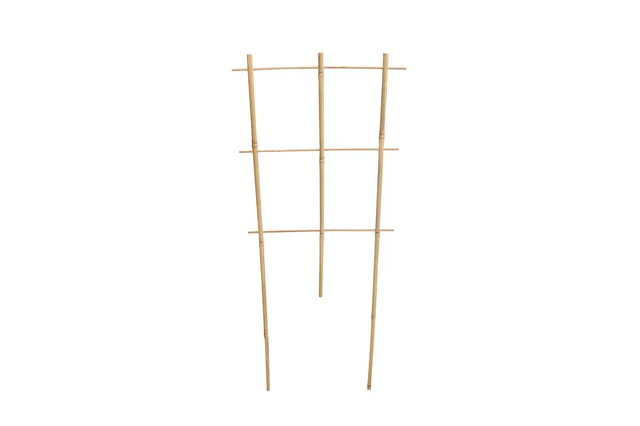 Bamboo Ladder No.100231