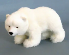Polar Bear