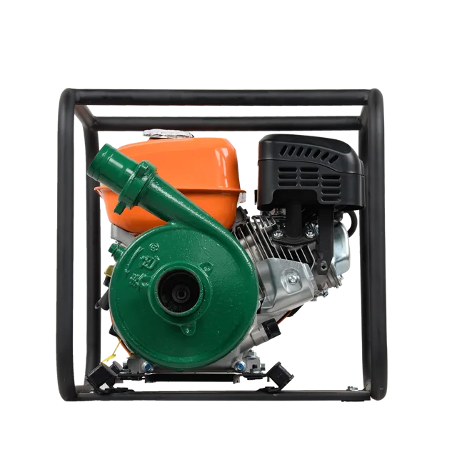 Cast Iron Pump H65TB55-4.0Q