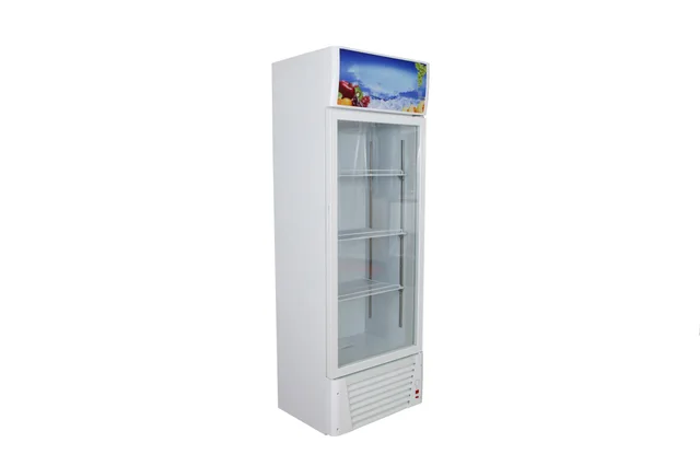 Single door vertical display cabinet