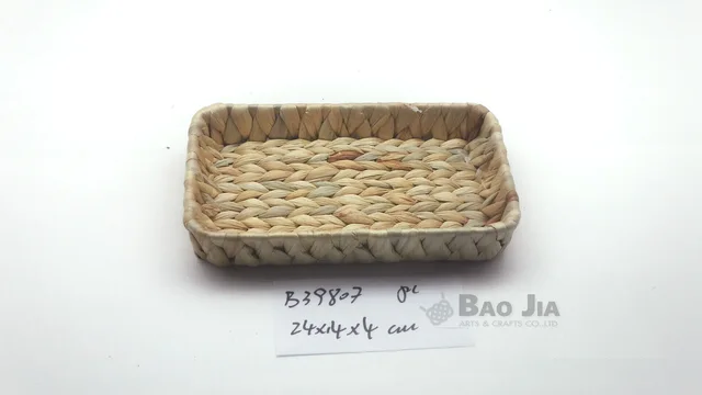 Small water hyacinth tray