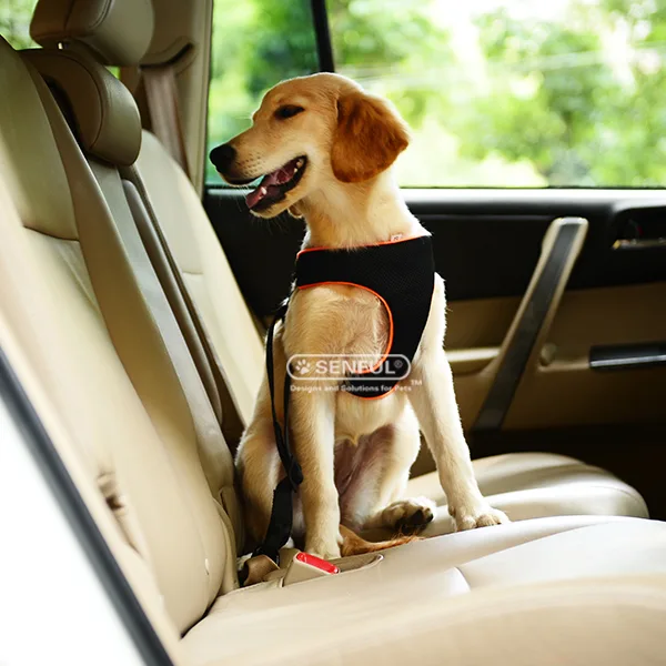 O-Pull Pet Harness Adjustable Outdoor Pet Vest