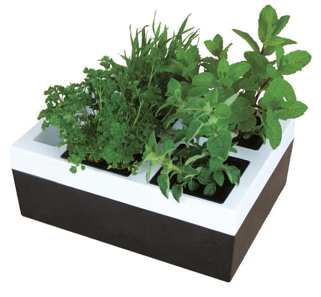 Kitchen Pot