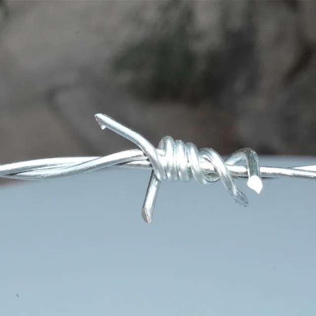 Galvanized Double Twisted Barbed Wire
