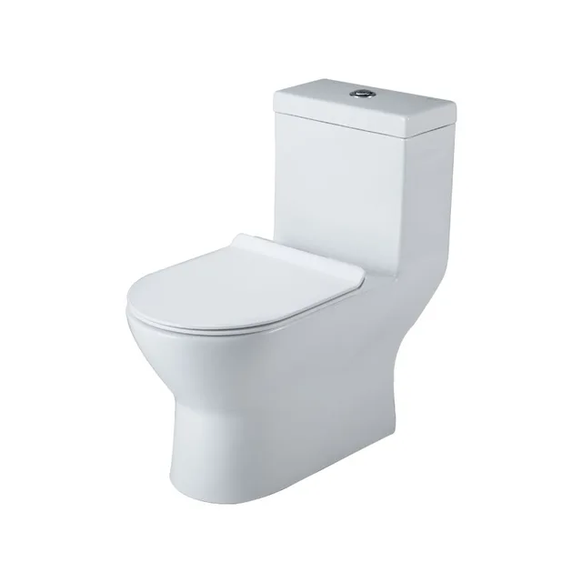 Bravat Floor Mounted Ceramic One piece Toilet ceramic toilet