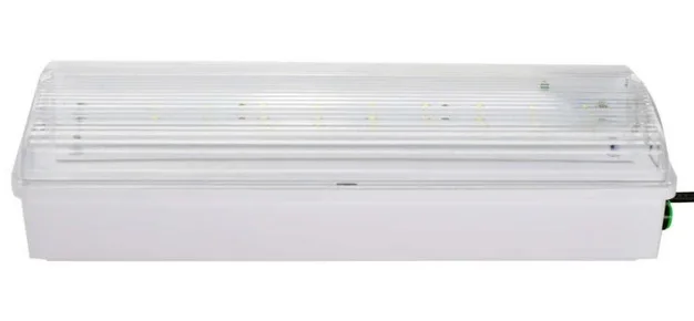 Emergency light