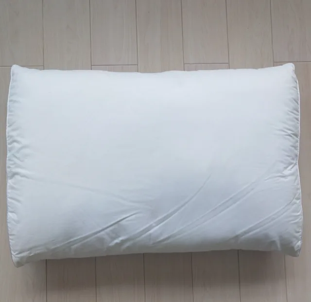Mesh gusset pillow