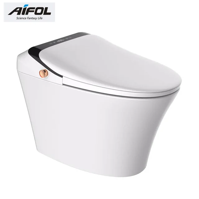 Intelligent toilet