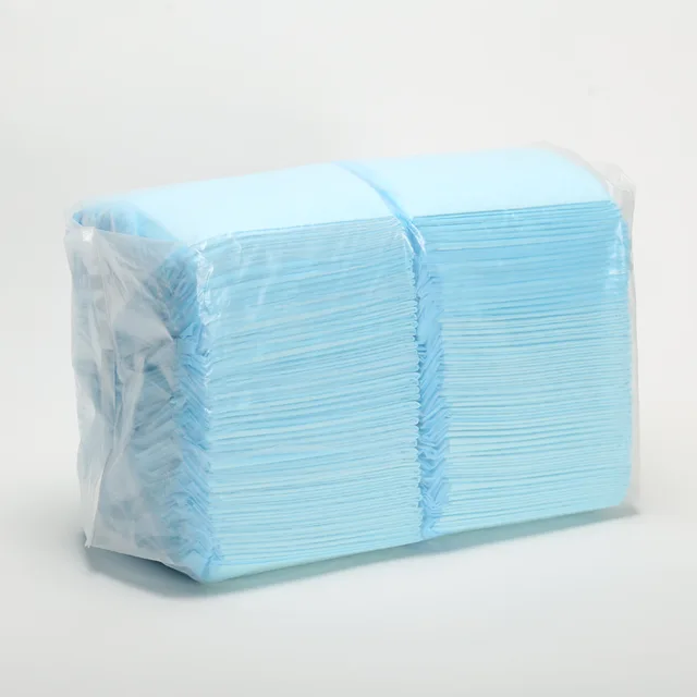 Economic Puppy 60 x 60 Training Pads