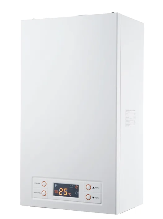 Wall mounted gas boiler