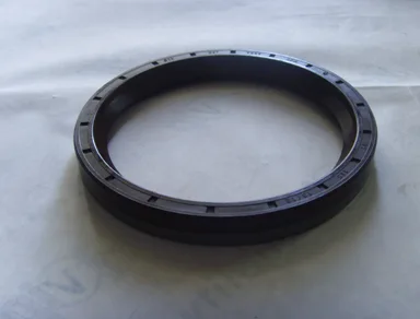 Oil seal