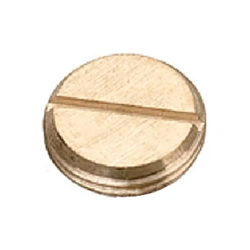 Stopping Plug-Slotted Head