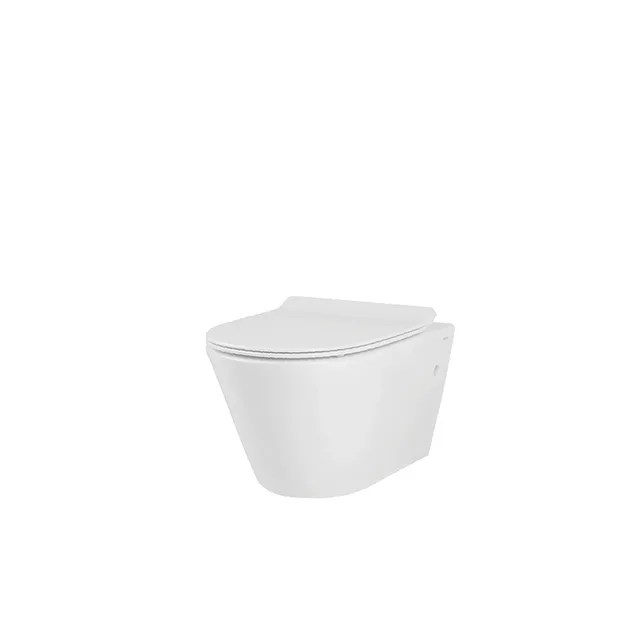HDC623WH HUIDA RIMLESS Washdown Wall-hung Toilet-D Style