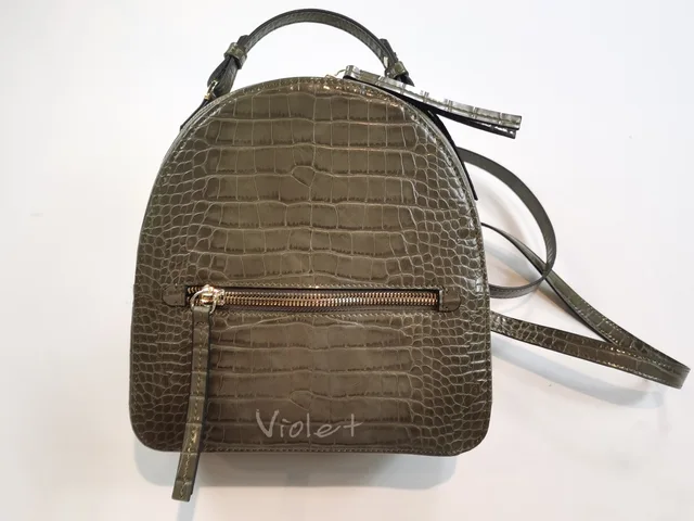 Backpack/Laptop bags