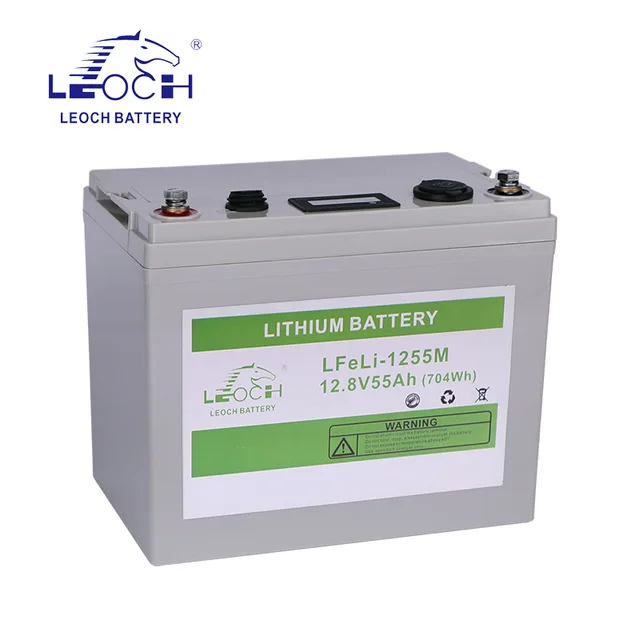 Lithium Battery LFeLi-1255M