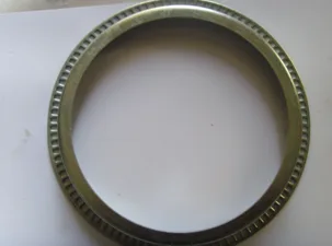 Oil Seal