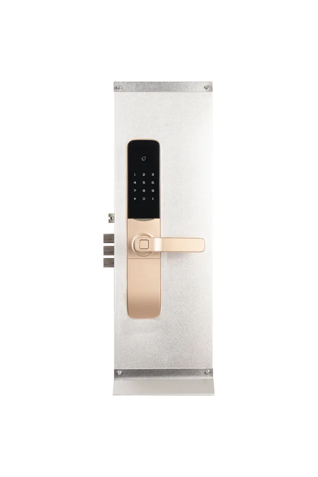 SMART Fingerprint Identification Door Lock