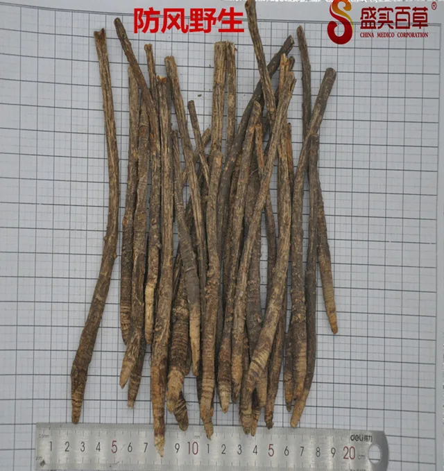 Saposhnikovia divaricata