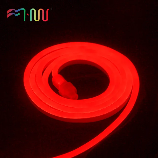 LED Neon Light Flexible neon light LED strip light 8*16mm 120LED/m ETL certification decoration 110V-220V light for home garden