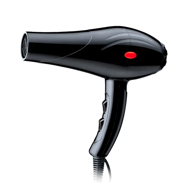 XDM hair drier 6650
