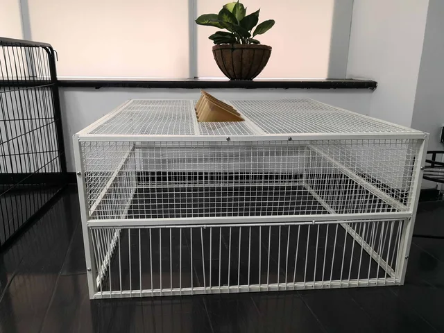 Metal pigeon cage