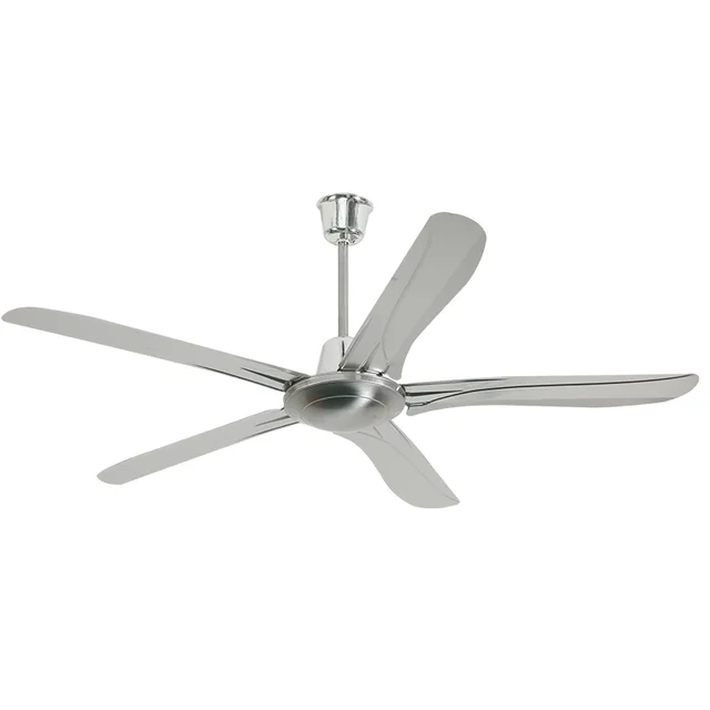 Ceiling Fan With 5 Blades