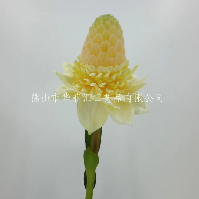 87cm Torch Ginger X1