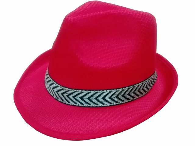 Polyester hat
