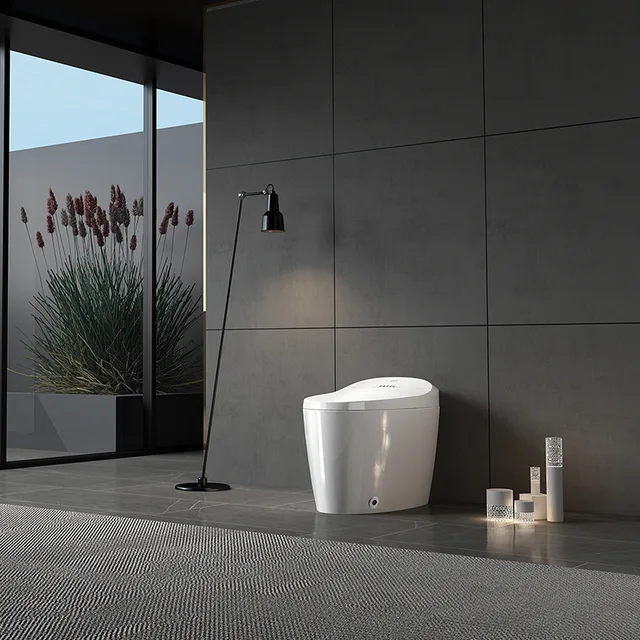 Intelligent toilet