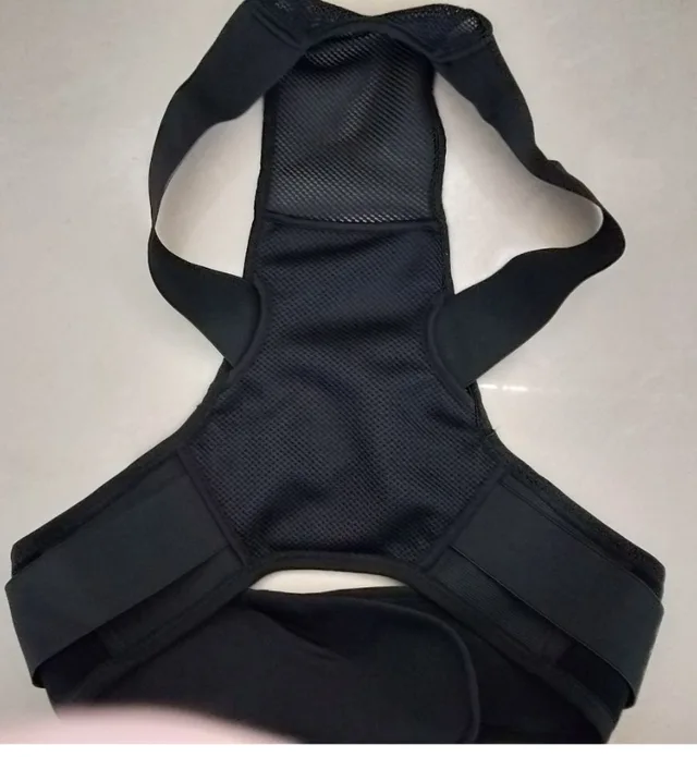 Back Support
