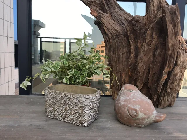 Cement pot, home decoration