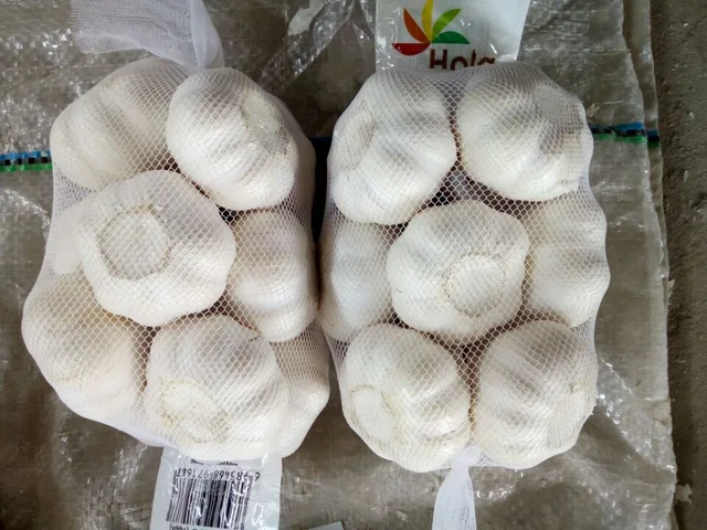 Fresh garlic