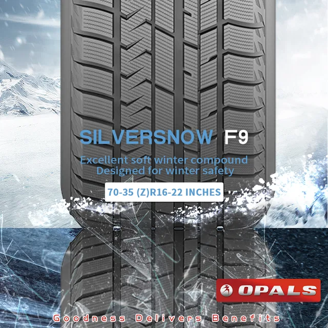 Winter Tyre