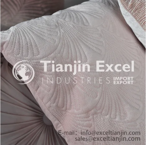 00000aa1-4cushion/Cushion Cover